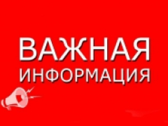 Что делать, если полис ОМС не найден на Госуслугах